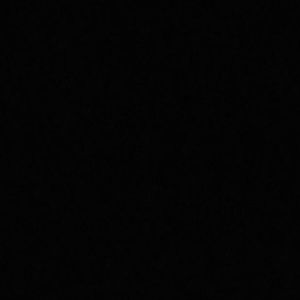 Meet your Posher, Jake